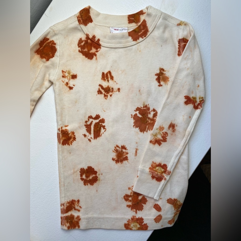 Hand dyed Hanna Andersson Pjs 3T